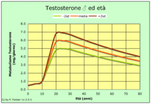 TestosteroneEtaGr-300x208